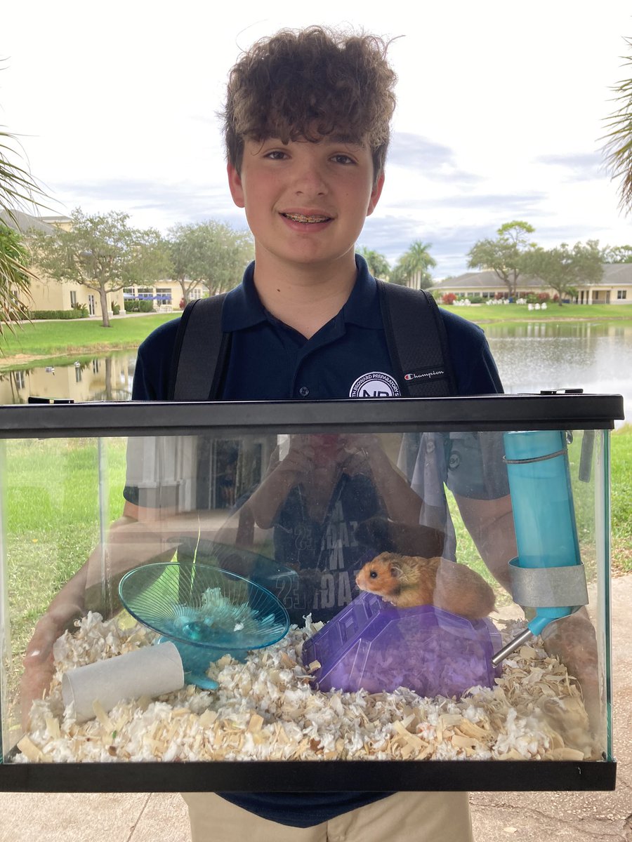 EsolBogi's tweet photo. Class 🐹 @Peanut_hamst3r heading home for the long weekend with @brendencd - fun times here we come! Follow @brendencd for daily updates 👍🏼 #hamsterlife #classpet #nbpb https://t.co/g2MmMI4iVI