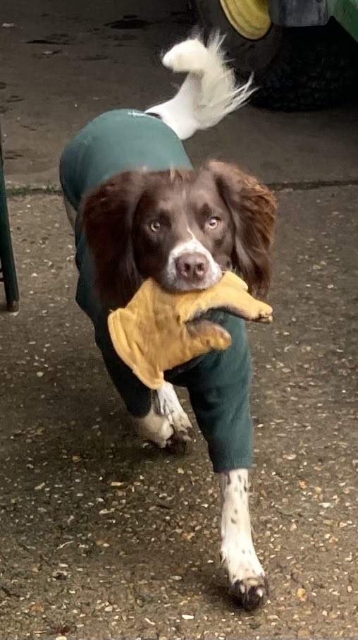 Bryn, please, I really do need my glove 😢