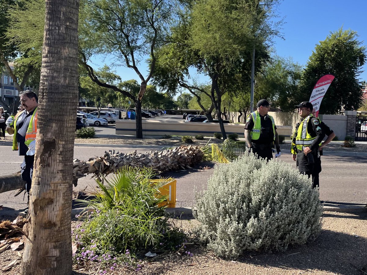 rebilasphoto's tweet photo. 59th ave by my house is shutdown due to a downed palm tree from a car accidentβ¦ #azproblems π΄π₯π» https://t.co/Z4HiJtNkbw