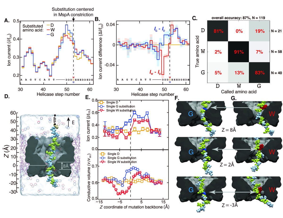 Di Jiang (@dijiang319) on Twitter photo A nanopore based approach for linearly reading individual peptides with sensitivity of single aa substitutions <a href="/cees_dekker/">cees dekker - also at @ceesdekker.bsky.social</a> Henry Brinkerhoff <a href="/aksimentievLab/">AksimentievLab</a>
Multiple rereads of single proteins at single–amino acid resolution using nanopores science.org/doi/10.1126/sc… A nanopore based approach for linearly reading individual peptides with sensitivity of single aa substitutions <a href="/cees_dekker/">cees dekker - also at @ceesdekker.bsky.social</a> Henry Brinkerhoff <a href="/aksimentievLab/">AksimentievLab</a>
Multiple rereads of single proteins at single–amino acid resolution using nanopores science.org/doi/10.1126/sc…