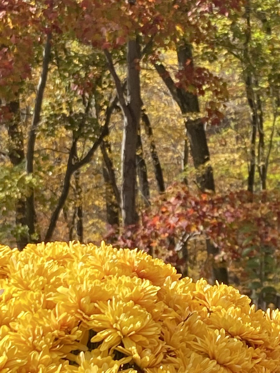 Jennifer Pudlo tweet media