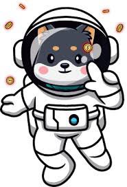 AntonChuraman's tweet photo. @Miiiillan @WildRock16 Lazy investors miss out. Those with foresight read study and chart. #Bishufi has the #Tokenomics #Defi and lowest #Mcap to take #TooDog Invest with intent not hype https://t.co/8hTP2LDjUo