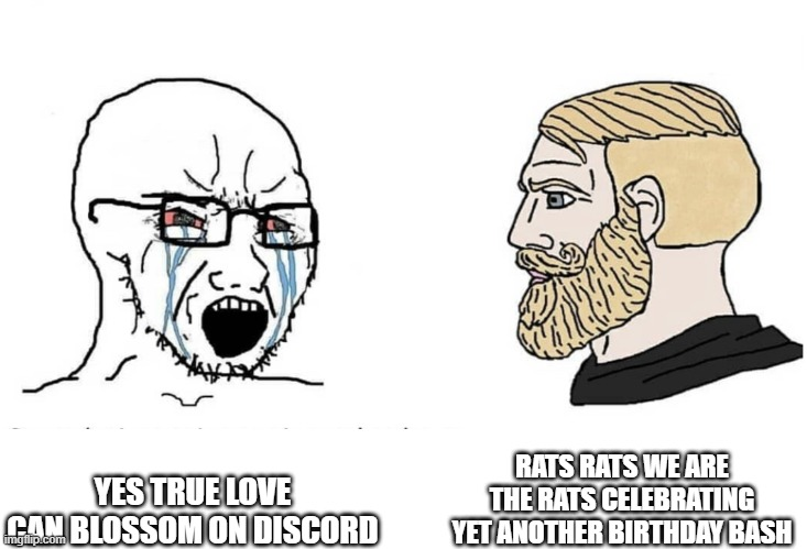 Giant Rats (@giant_rats) on Twitter photo 