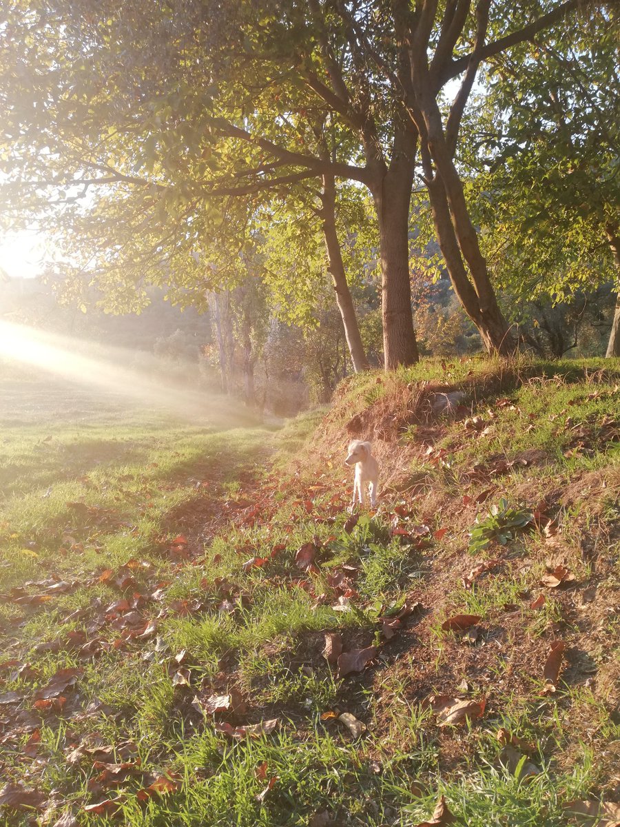 Canımm kızım❣️