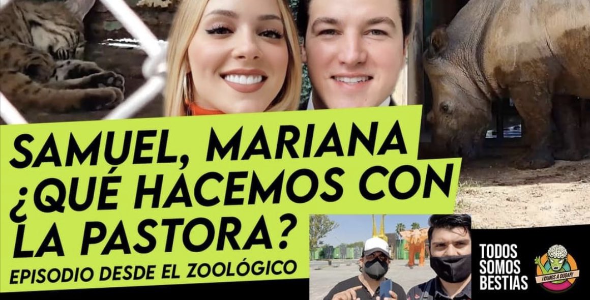 SomosLiberum's tweet photo. Les compartimos este episodio que no se pueden perder https://t.co/lcH2VqRfPT https://t.co/2CzYggrfoH