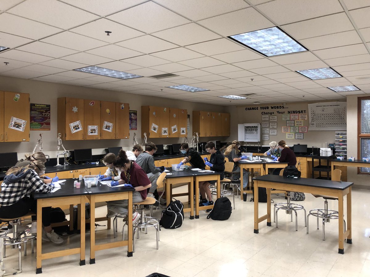MrsMedlockMHS's tweet photo. ๐Forensic toxicology - trying to make an identification of an unknown substance in Annaโs stomach.
(All samples are simulated)
#PLTW #PBS #weRmedina #MCCCPLTW
PLTW is a collaboration between MCCC and MCS https://t.co/nQc2OLnWmS