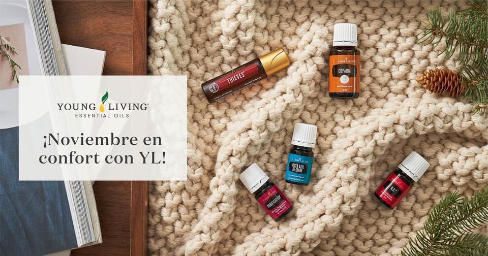 YoungLivingMx's tweet photo. ¡Noviembre en confort con Young Living! 🤩🙌

Apapacha a cada uno de los integrantes de tu familia con el poder de los aceites esenciales en esta fría época del año. 

Conoce las promociones PV de Noviembre: https://t.co/OBGscUhLe4 

#YoungLivingMéxico https://t.co/WXUCaw4txL