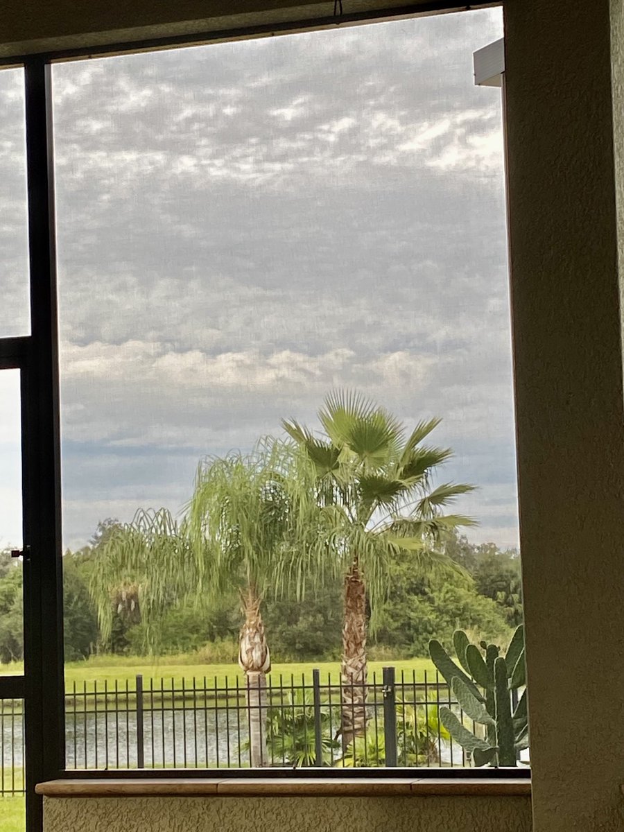 Passione Divina tweet media