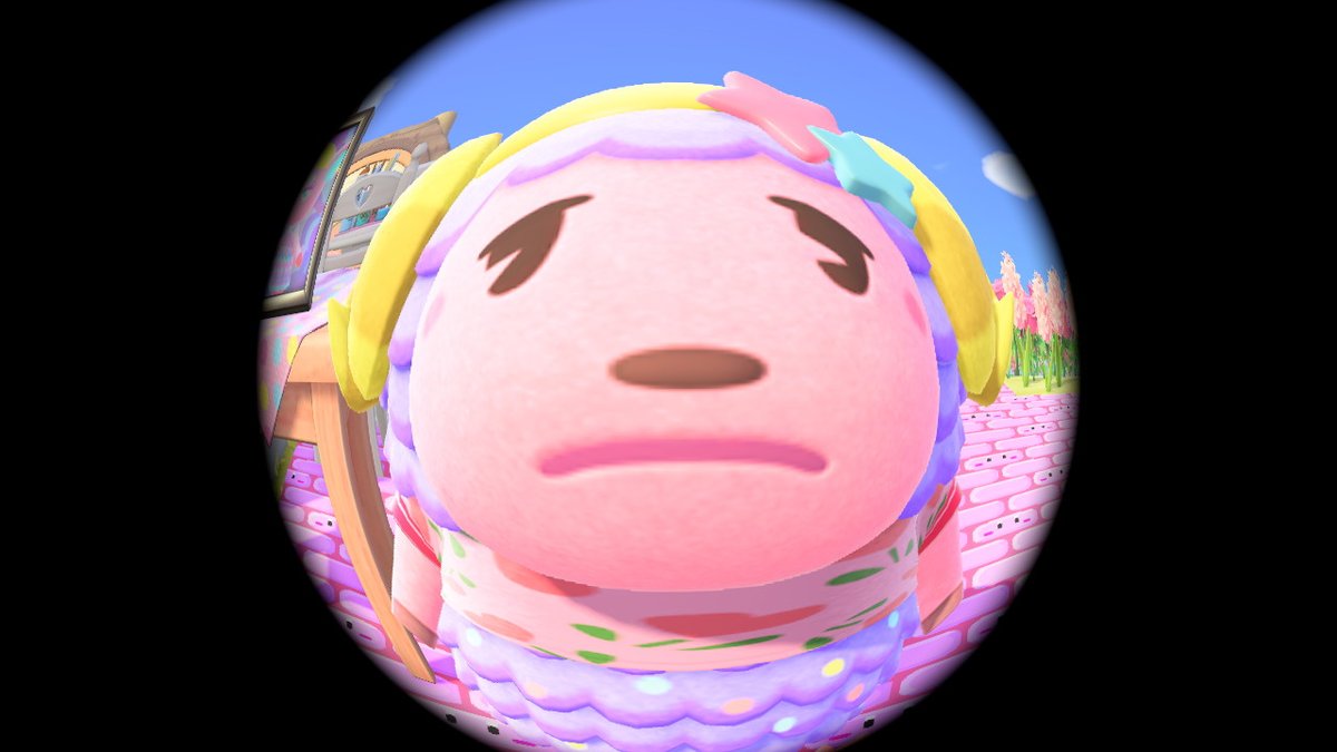 RKirbette's tweet photo. My villagers seeing me open fish-eye lens for the 9 millionth time. https://t.co/ekjbkFzIQg