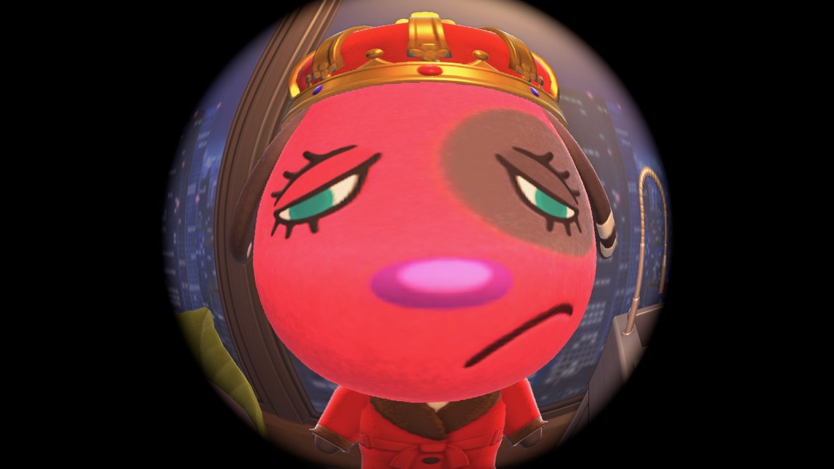 My villagers seeing me open fish-eye lens for the 9 millionth time.