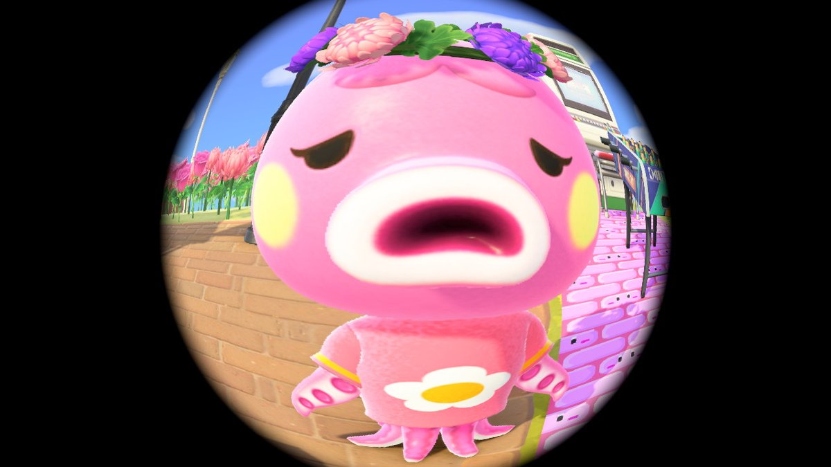 RKirbette's tweet photo. My villagers seeing me open fish-eye lens for the 9 millionth time. https://t.co/ekjbkFzIQg