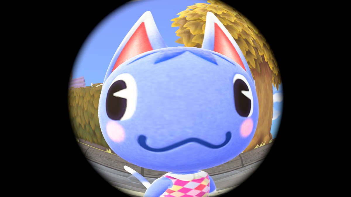 Kali0s_ACNH's tweet photo. #ACNH_FR #AnimalCrossing #ACNH #NintendoSwitch https://t.co/Ql3hizf5JZ