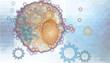 Communications Biology tweet media