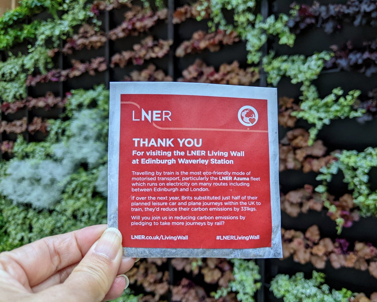 RieSuzukiUK's tweet photo. @LNER Thanks, @LNER ! Today I received Scottish wildflower mix seeds in front of #AzumaLivingWall, Edinburgh Waverley station. I am very happy because the wildflower meadow is that I am most interested in lately. 😮🤩🥳 https://t.co/OAZBStOda0
