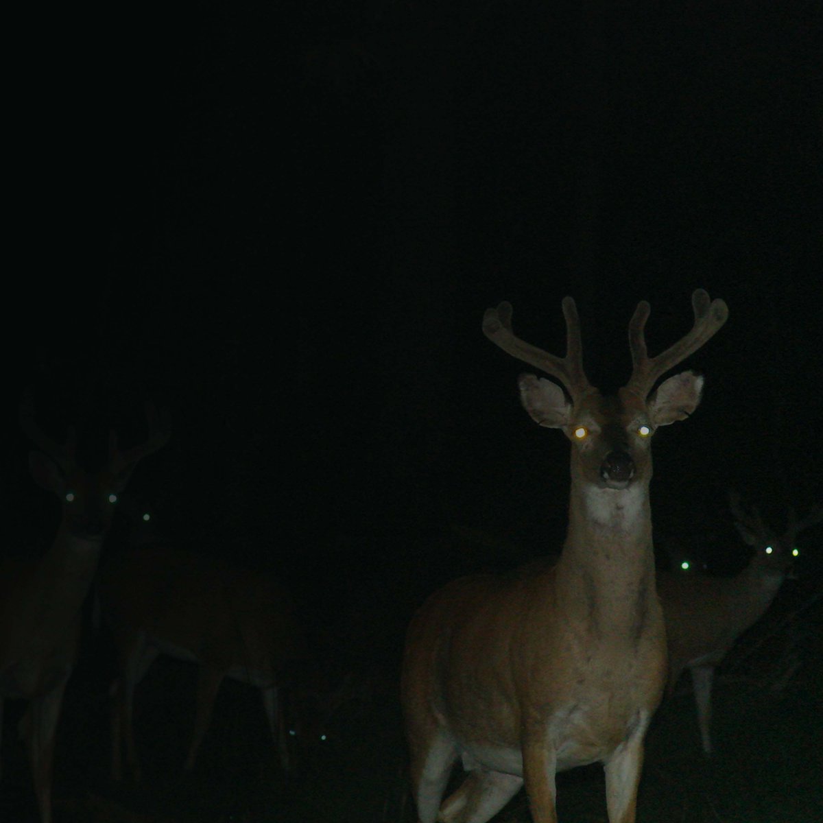 Now on our playlist: <a href="/taysean/">Swan</a> "Toledo Vader" – selected by <a href="/FreshSelects/">Fresh Selects</a>

Listen &amp; follow on Spotify or Apple Music: smarturl.it/tightsongs