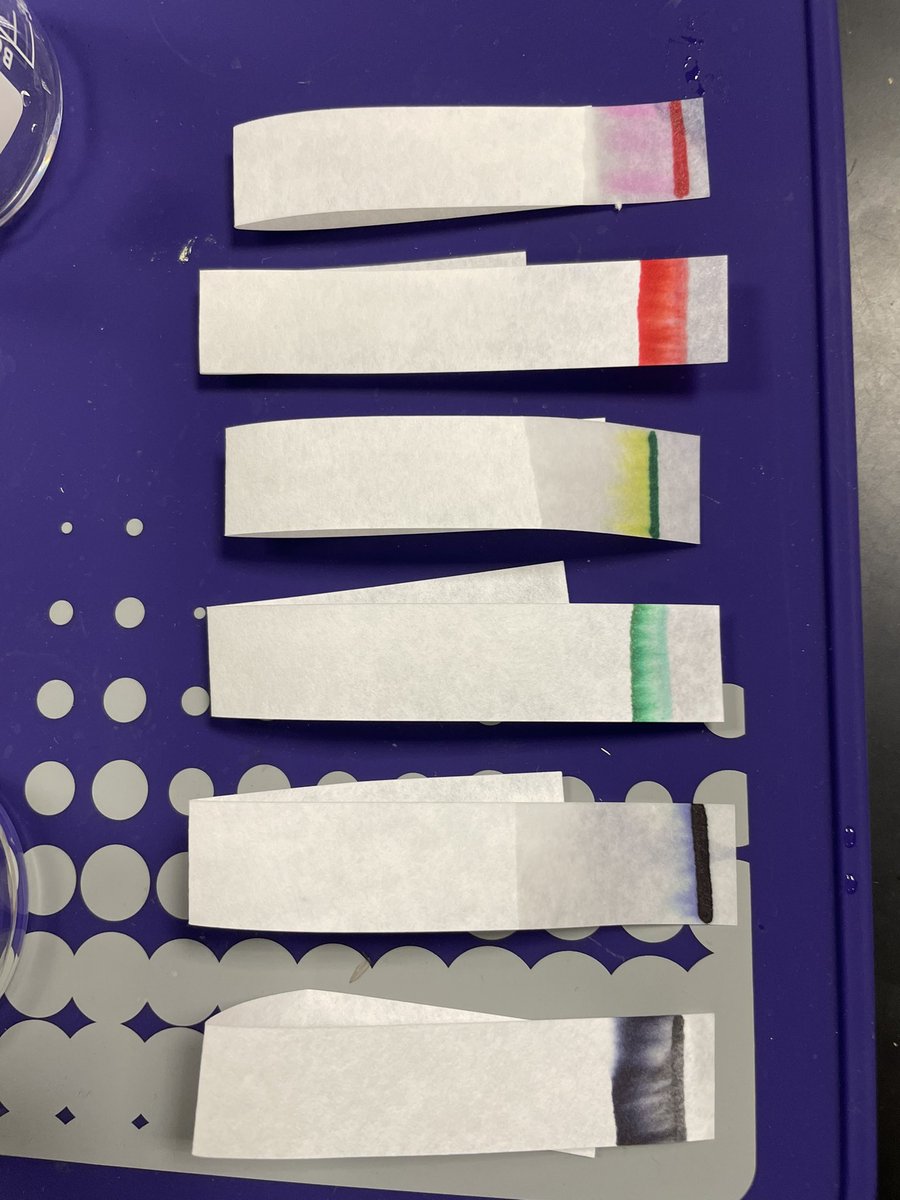 MrsRayEducation's tweet photo. ACS club investigated chromatography and the application of separating mixtures & discussed how an environmental engineer would utilize this process! #MustangHour #ScienceRules👨🔬👩🔬@HumbleISD_KHS https://t.co/hNBuOdFPjm