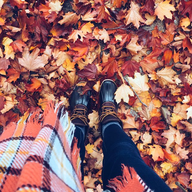 We’re stepping into November full of thanks! Stay tuned for our next big JOYFUL event on Nov 18th! We have a special Thanksgiving menu and other cool surprises planned!
…
#thankfulvibes #chartwellsjoyful #joyfulatpace