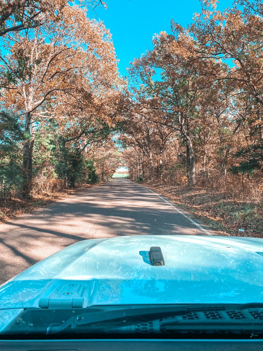 He always said he would be in the breeze &amp; in the trees one day. Happy November, daddio