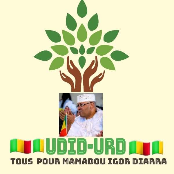 DiarraIgor's tweet photo. L'homme incorruptible, le génie financier MAMADOU IGOR DIARRA 
Avec lui il aurait des vracs alimentaires au Mali. Car c'est le créateur des emplois. Docteur des institutions malades...donc ne trompez pas de choix 🇲🇱🇲🇱🇲🇱🇲🇱🇲🇱 https://t.co/wyCA22Xc9r