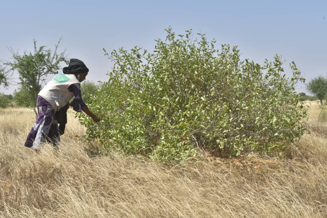 Salamatou M.S tweet media