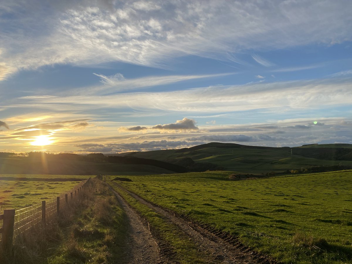 Scenic drive this afternoon