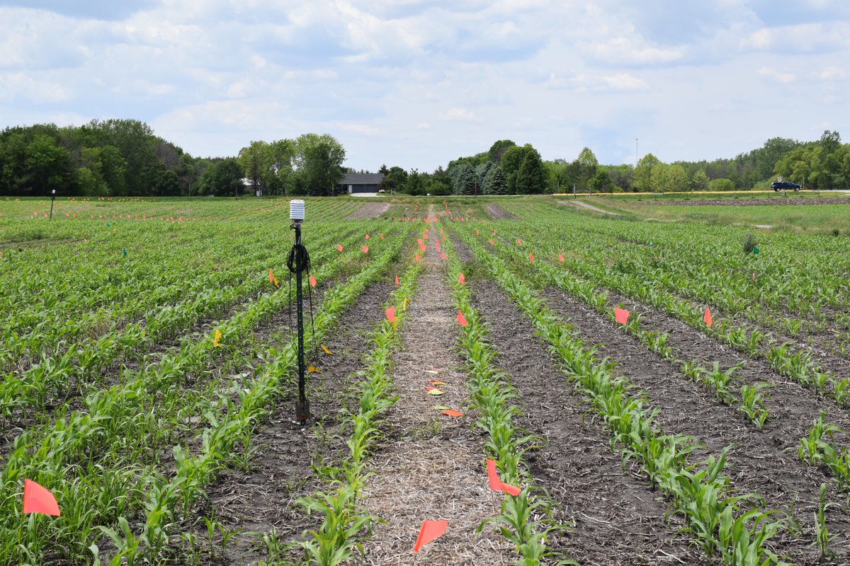 Avery Bennett tweet media