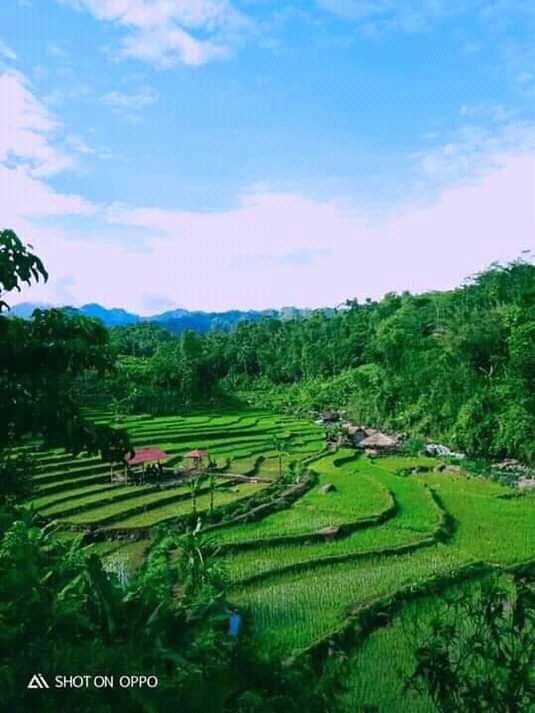 Treking sentul 489 
Info lebih lanjut whatshap 08951855854