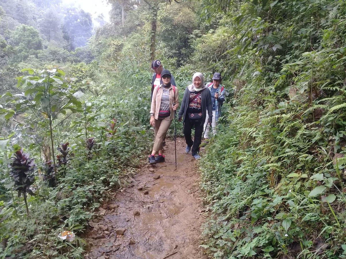 Udara yang segar dan indah cocok buat treking