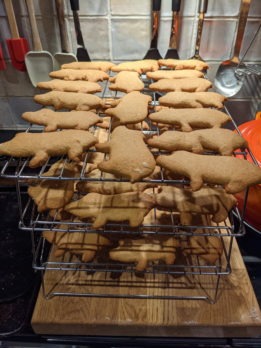thepolicynerd's tweet photo. @foodmixer Went to the wire but mission accomplished #plotnight #parkinpigs https://t.co/Bd5aqXZvFm
