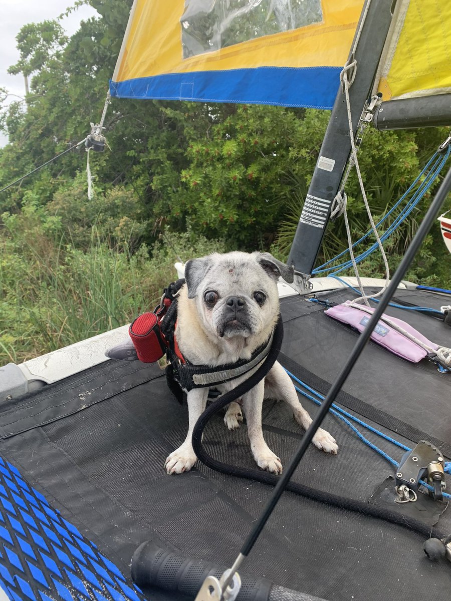 MasterAvery's tweet photo. Had an awesome time on the Hiram Haul race this weekend.  It’s race season, Everglades challenge is coming up too. https://t.co/IfkBL5CB21