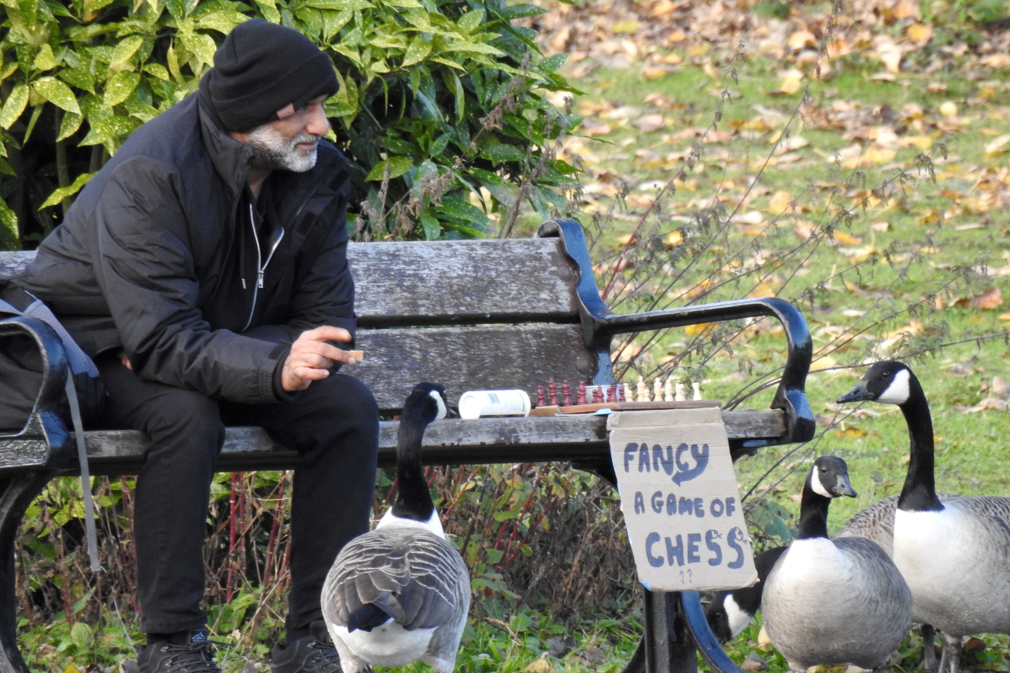 Goose Chess