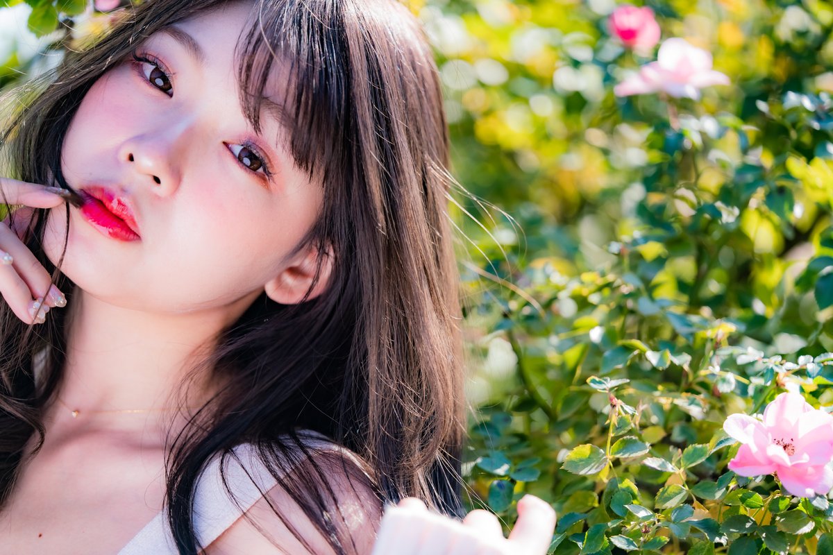 knock1965's tweet photo. #桜ゆりか   ~Pink Rose ~

#RoseGarden 
#portrait 
#photography 
#bimage 
#pinkrose 
#flowers https://t.co/ky4APNbw1O
