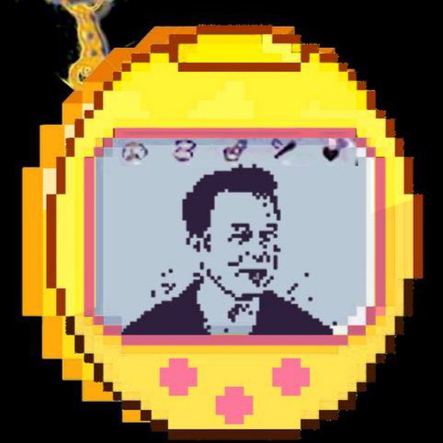 SPACE MUSK tweet media