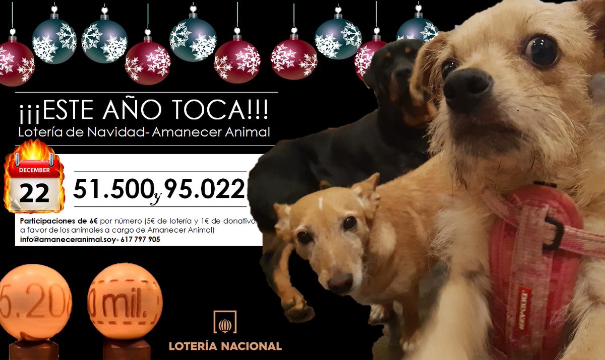 AnimalAmanecer's tweet photo. En serio te vas a quedar sin nuestra lotería?. Pues nos va a tocar... Tú sabrás #Loteria  #Navidad https://t.co/TTvlwzU0hM