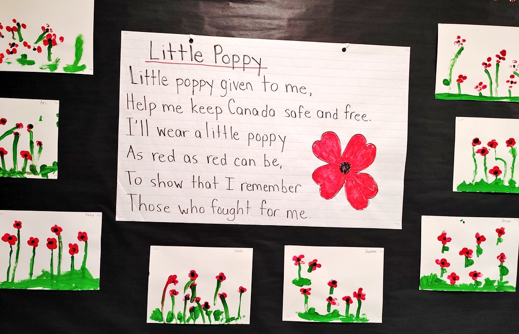 Kindergarten students learn a new poem each week. This week we practiced reading Little Poppy and discussed why the poppy is important. Students painted beautiful poppy pictures to decorate our bulletin board. #RemembranceDay2021