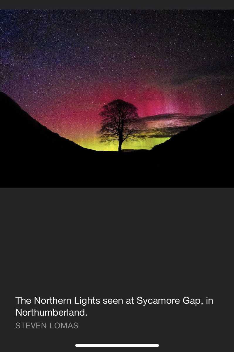 Beautiful capture 💛 #SycamoreGap #Northumberland #SteveLomas #landscapephotography #NorthernLights