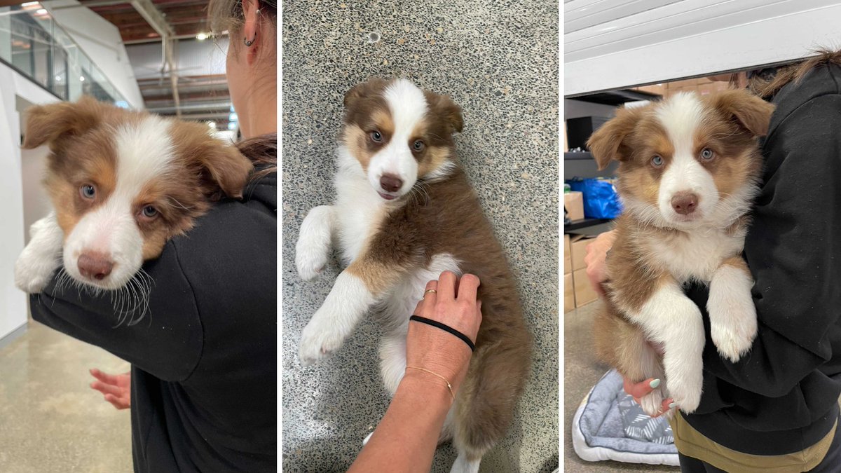 Workit Spaces tweet media