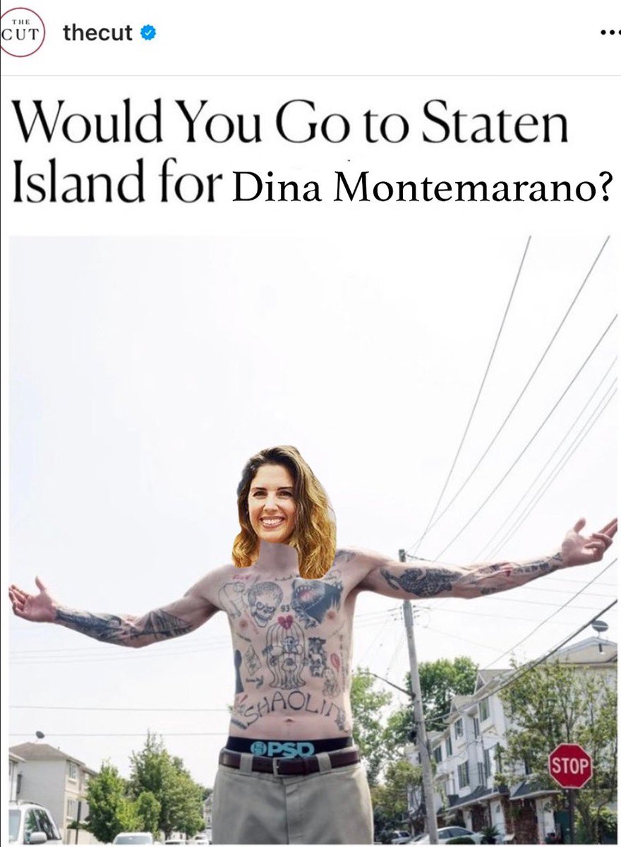 Dina Montemarano tweet media