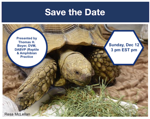 LafeberVet's tweet photo. Save the Date | LafeberVet press release: RACE-approved webinar on "Reptile and Amphibian Nutrition", presented by #reptile #veterinarian Thomas H. Boyer https://t.co/NOtUaEJPcp #reptiles #amphibians #amphibian #veterinary #nutrition #veterinarians #vetttech #vetnurse https://t.co/DeXqRcImFd