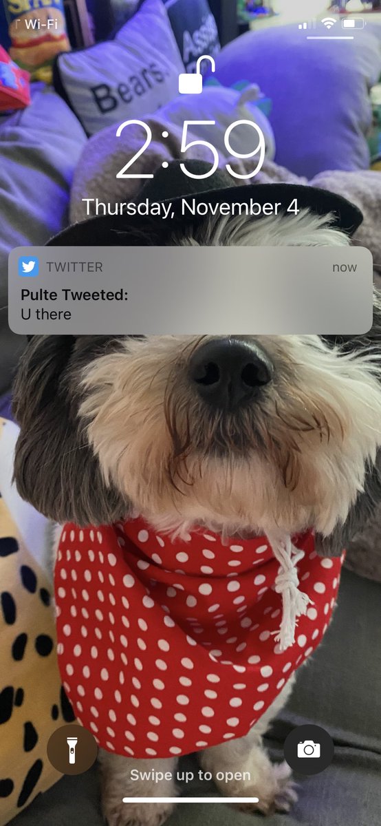 thisradicalgnat's tweet photo. @pulte I’m here! $thisradicalgnat https://t.co/HUOQelKzUM
