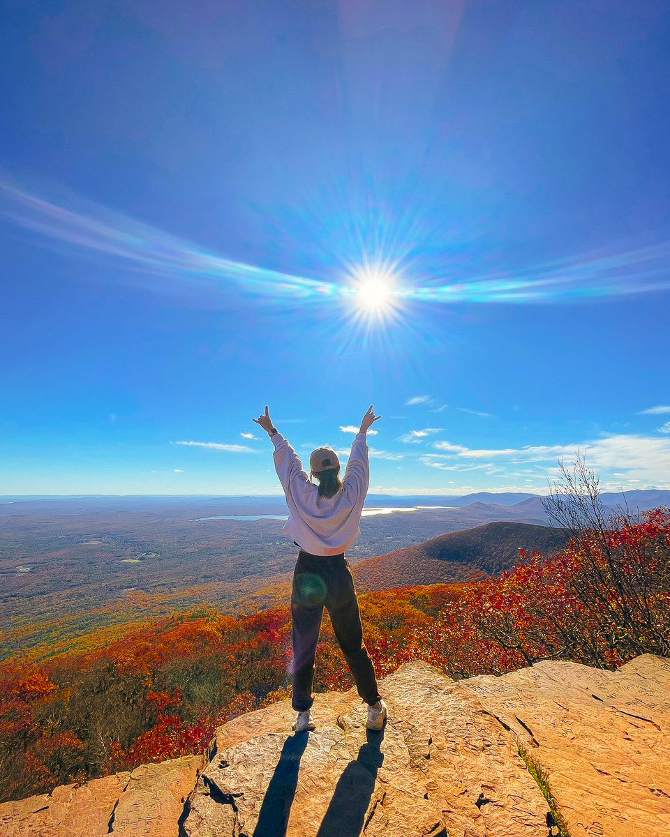 UTNYProgram's tweet photo. #FallUTNY: Just a few hours north of the city are the stunning Catskill Mountains: aka the perfect place to watch the trees change color and get ALL of the autumn vibes. 🍂🍁 Somehow the trees know our favorite color is orange...#hookem https://t.co/dbwTHzJBYU