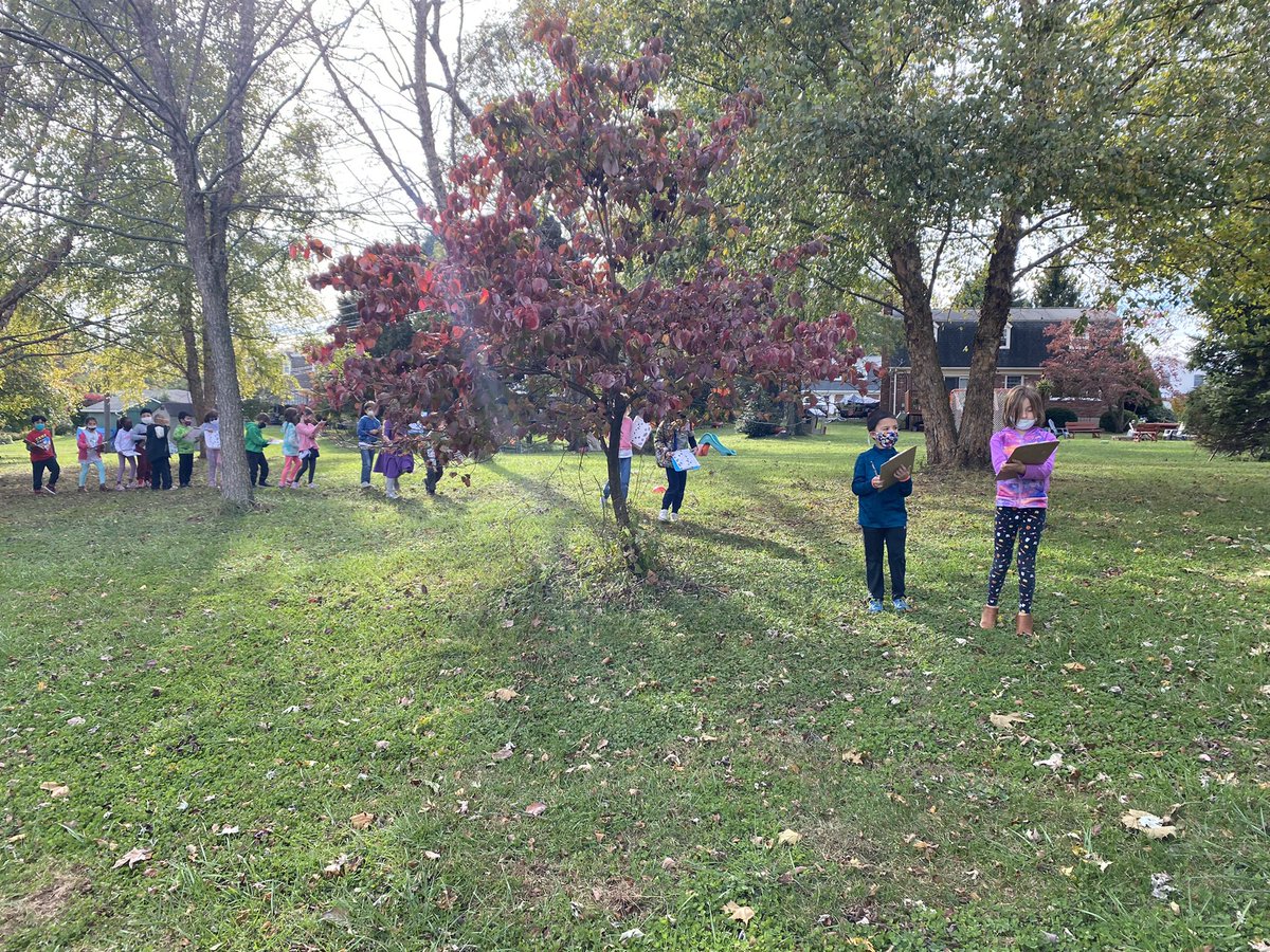 Rachel Noto tweet media