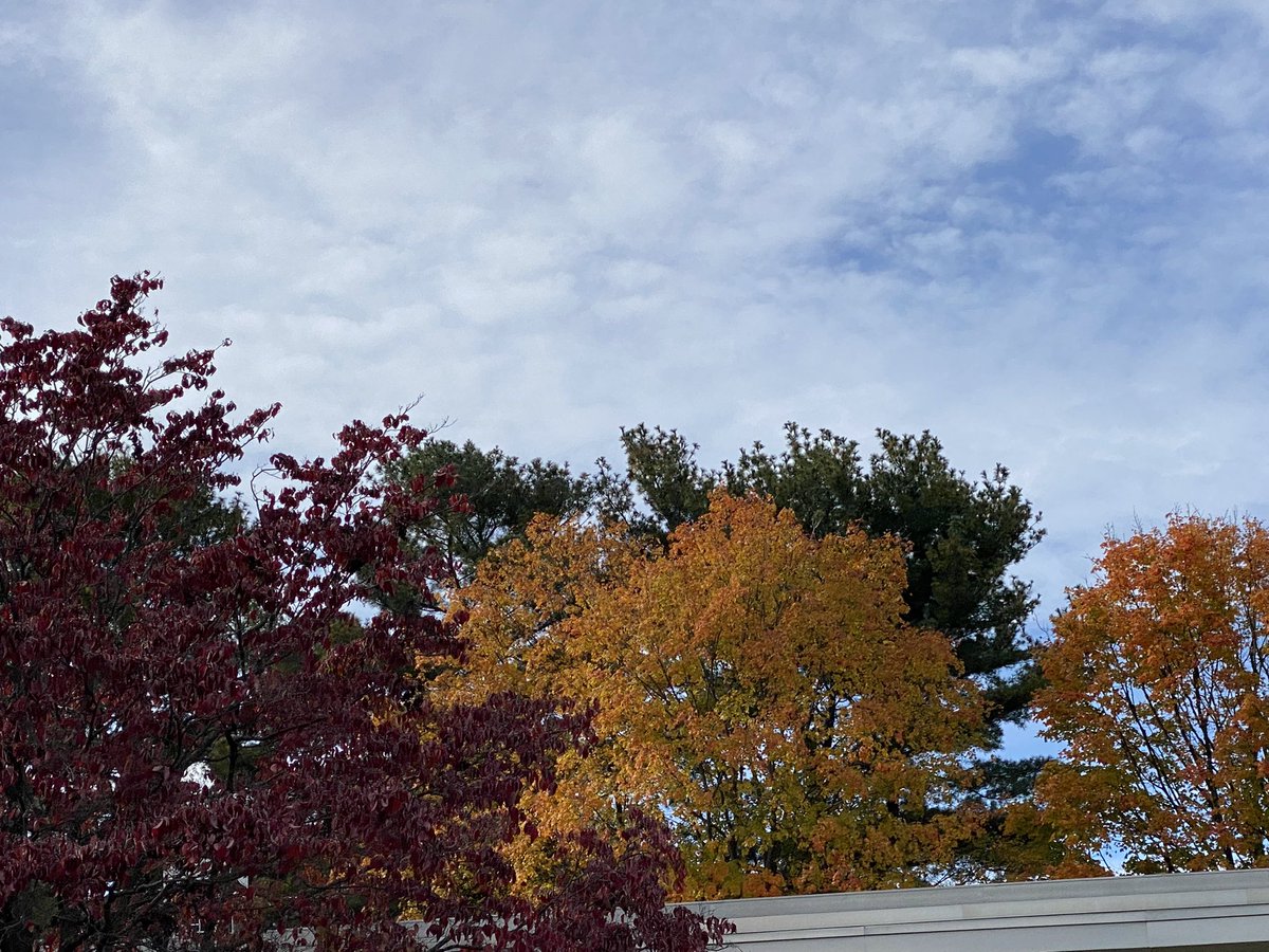 Rachel Noto tweet media