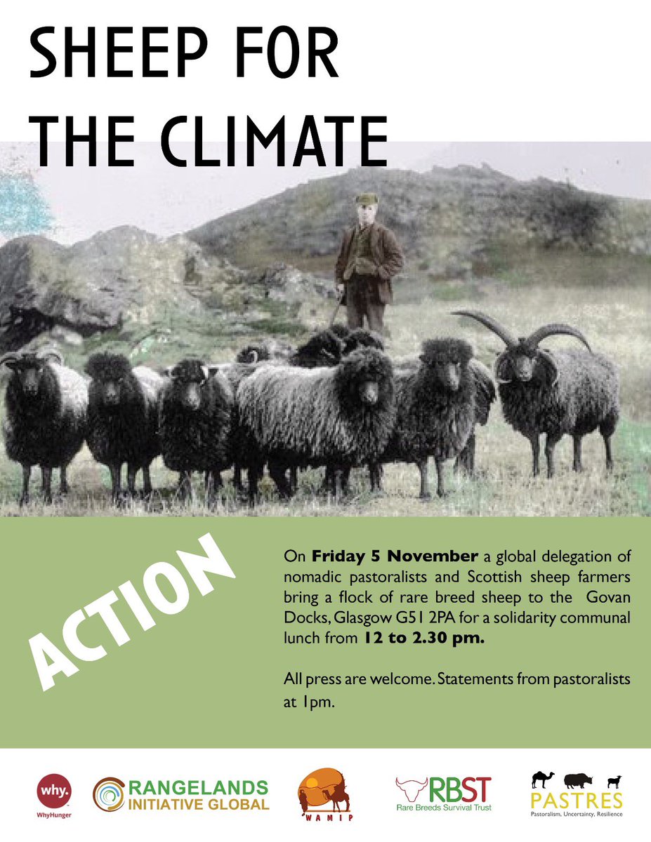 What do sheep and shepards think about #COP26 and how is the #ClimateCrisis impacting on their lives? The ‘sheep for the climate’ action tomorrow (Friday) from 12:00 to 14:30 at Gowan Docks, Glasgow G51 2PA #livestock #localisbest #saveourheritage
