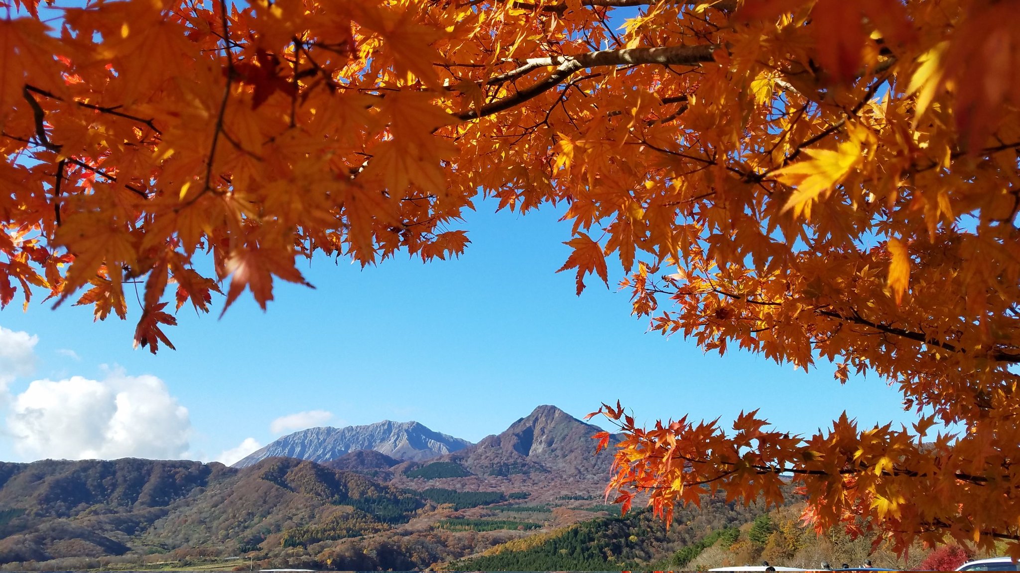 岡山紅葉 Twitter Search Twitter