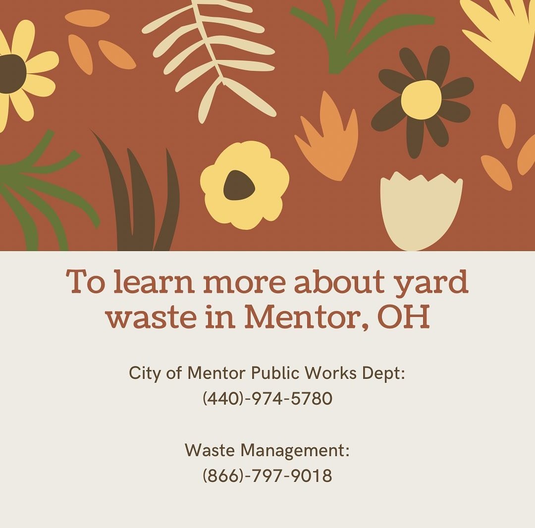 MHS_GreenTeam's tweet photo. People often throw away the fallen leaves in their yard, missing out on all the benefits they can offer. 

Here are a few great ways you can manage your leaves instead of throwing them away! 🍂
#fall #Autumn #ecofriendly https://t.co/KMzryA3SIE
