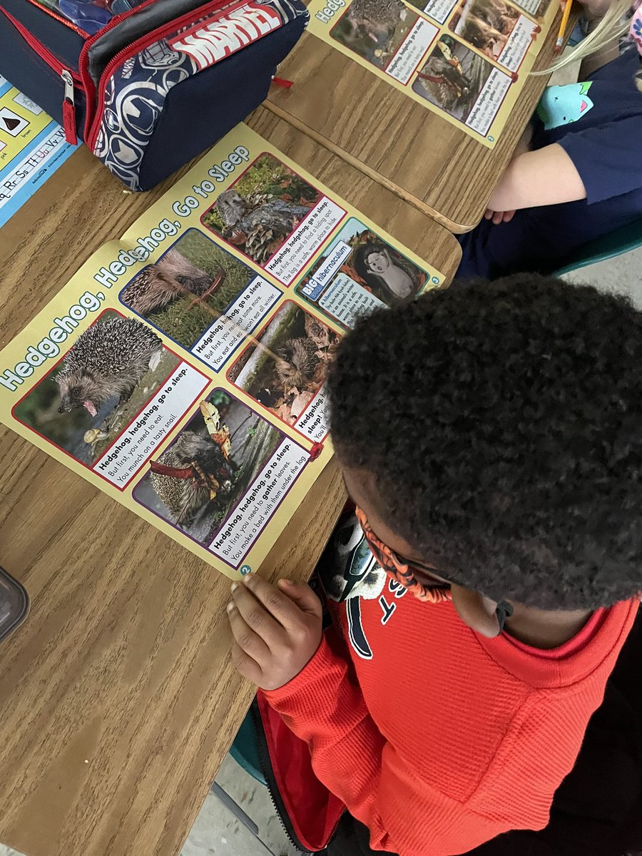 MrsWoodford1's tweet photo. Today we made a KWL chart about Hedgehogs and used @Scholastic News and PebbleGo to learn more about them. Then we worked with a partner to write down a fact we learned to add to our chart #GBWpride https://t.co/61xp0Al5WE