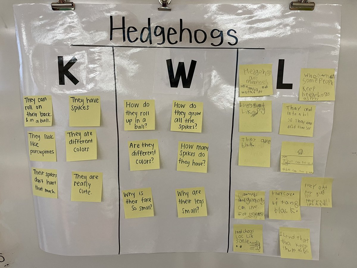 MrsWoodford1's tweet photo. Today we made a KWL chart about Hedgehogs and used @Scholastic News and PebbleGo to learn more about them. Then we worked with a partner to write down a fact we learned to add to our chart #GBWpride https://t.co/61xp0Al5WE