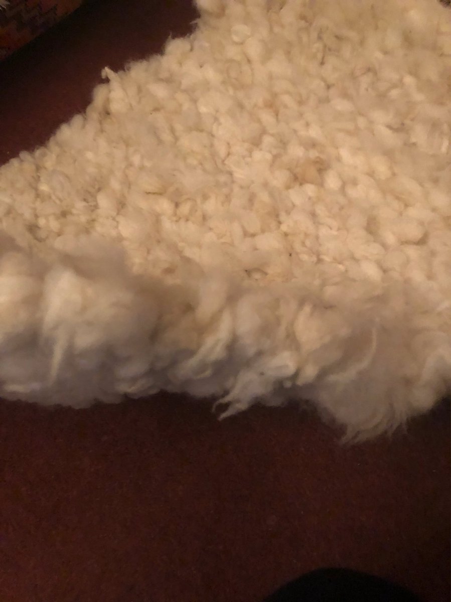 debdavewardell's tweet photo. Lovely luxurious soft rug handmade by #fleece2ewe from our very own Shropshire fleece #shropshiresheep #gonative #fleece2ewe https://t.co/Q0tp8GynSB