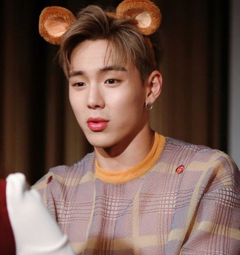 Idols que são representados por emoji de urso são o lugar de conforto dos seus fandoms.